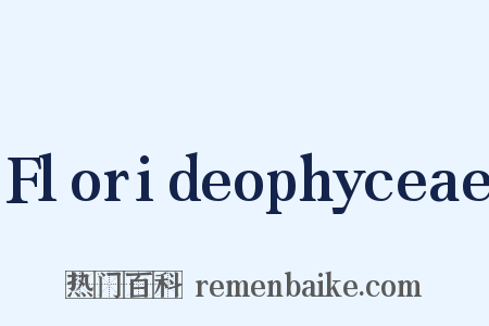 Florideophyceae是什么意思的图片